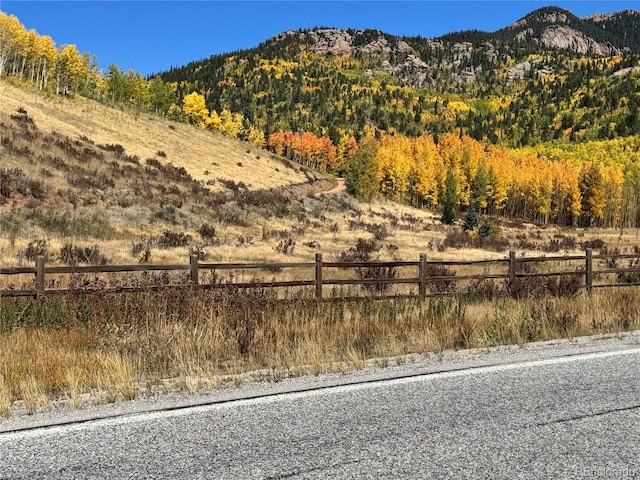 Castle Ridge View, Divide, CO 80813 - photo 45