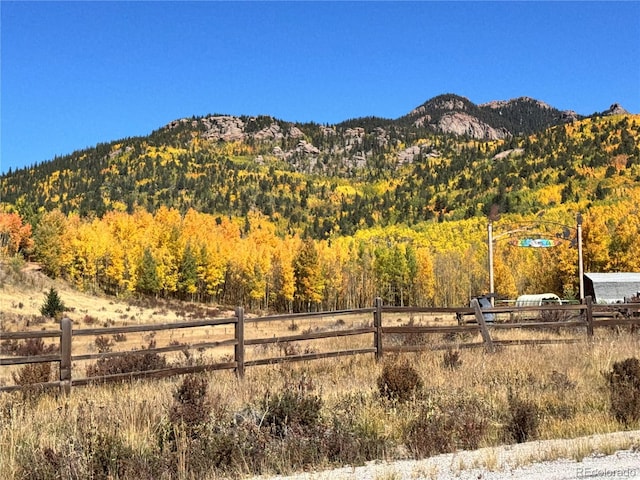 Castle Ridge View, Divide, CO 80813 - photo 46