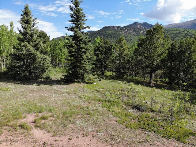 Castle Ridge View, Divide, CO 80813 - photo 1
