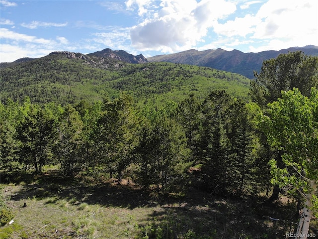Castle Ridge View, Divide, CO 80813 - photo 2