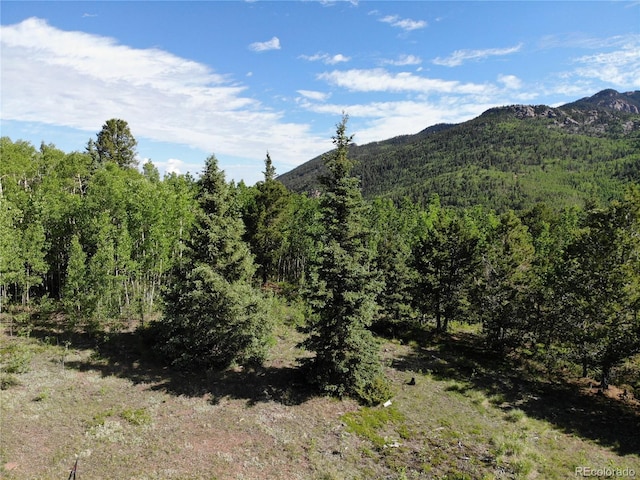 Castle Ridge View, Divide, CO 80813 - photo 5