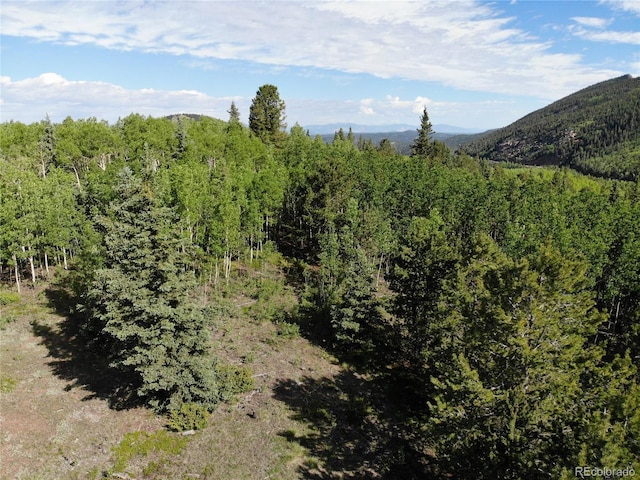 Castle Ridge View, Divide, CO 80813 - photo 6