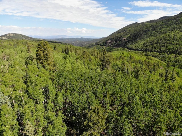 Castle Ridge View, Divide, CO 80813 - photo 8
