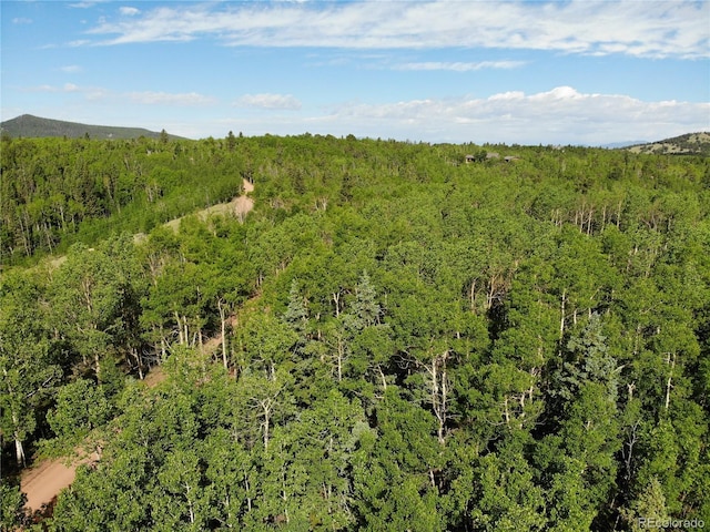 Castle Ridge View, Divide, CO 80813 - photo 10