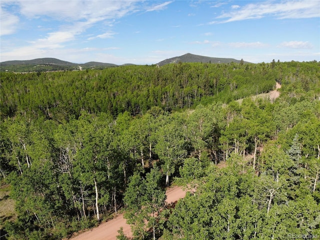 Castle Ridge View, Divide, CO 80813 - photo 11