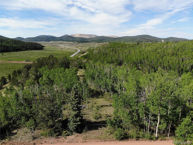Castle Ridge View, Divide, CO 80813 - photo 12