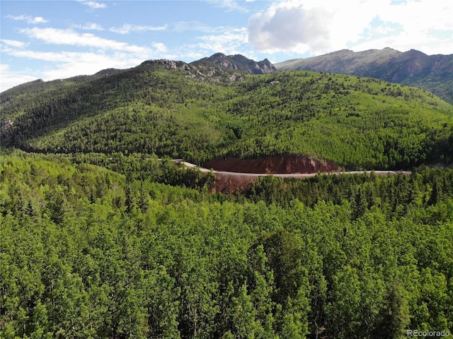 Castle Ridge View, Divide, CO 80813 - photo 13