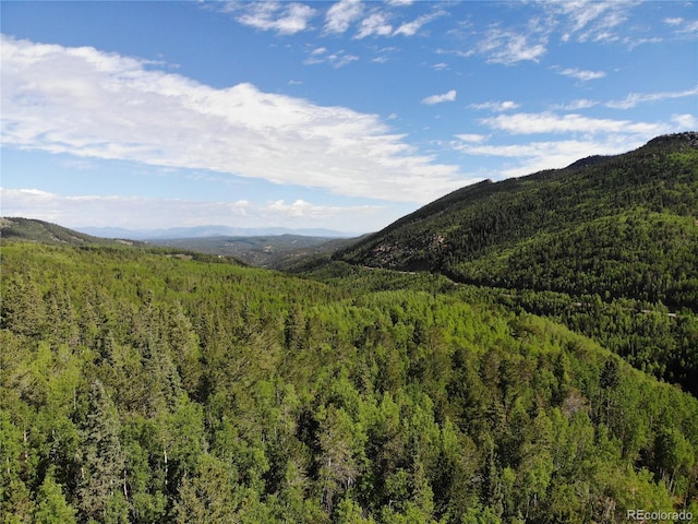 Castle Ridge View, Divide, CO 80813 - photo 16