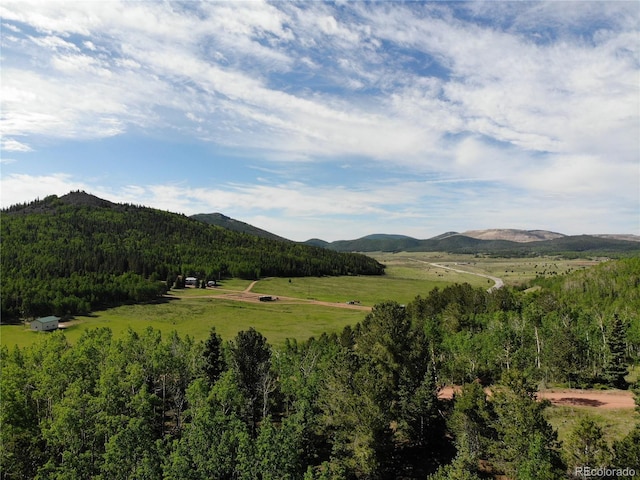 Castle Ridge View, Divide, CO 80813 - photo 17