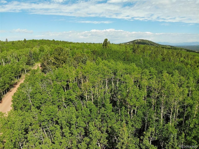 Castle Ridge View, Divide, CO 80813 - photo 20