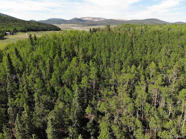 Castle Ridge View, Divide, CO 80813 - photo 25