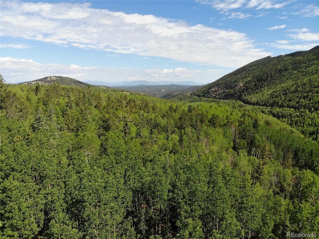 Castle Ridge View, Divide, CO 80813 - photo 29