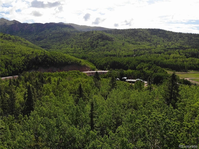 Castle Ridge View, Divide, CO 80813 - photo 30