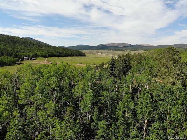 Castle Ridge View, Divide, CO 80813 - photo 32