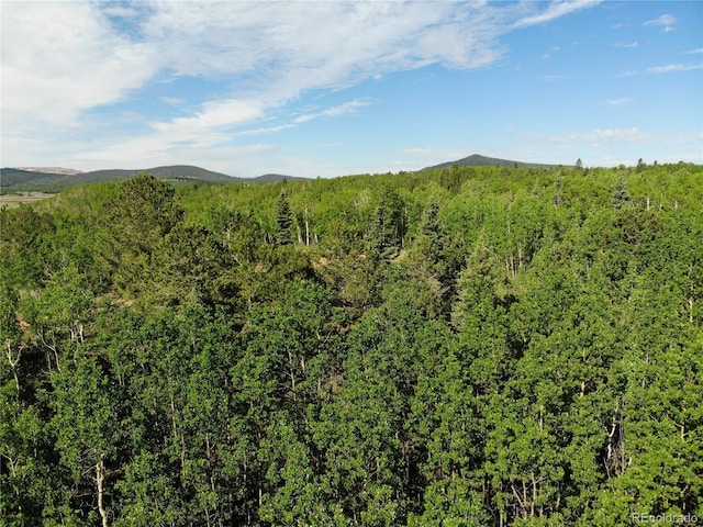 Castle Ridge View, Divide, CO 80813 - photo 33