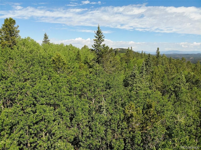 Castle Ridge View, Divide, CO 80813 - photo 35