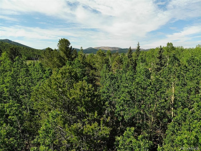 Castle Ridge View, Divide, CO 80813 - photo 36