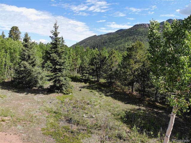 Castle Ridge View, Divide, CO 80813 - photo 37