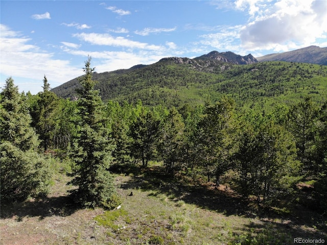Castle Ridge View, Divide, CO 80813 - photo 3