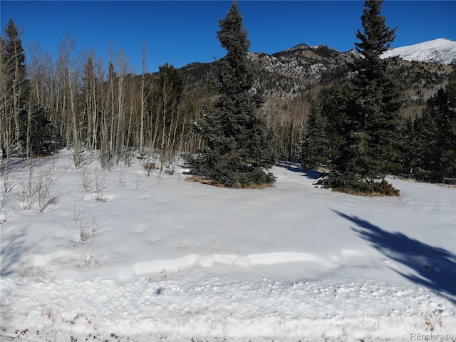 Castle Ridge View, Divide, CO 80813 - photo 4