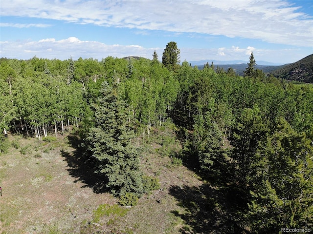 Castle Ridge View, Divide, CO 80813 - photo 7