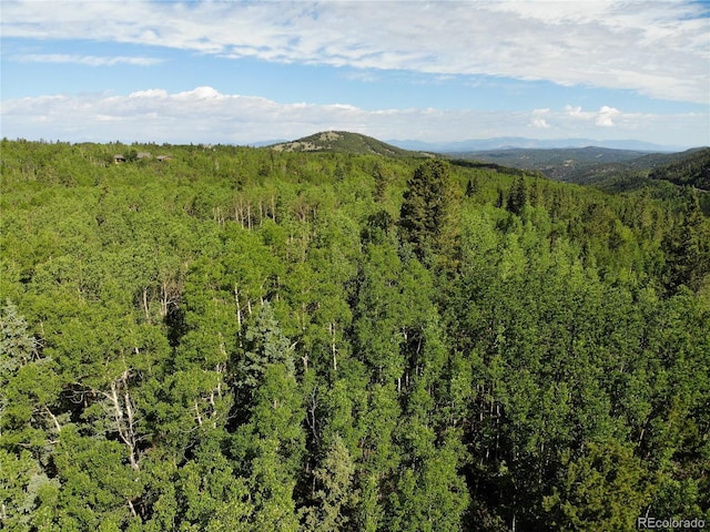 Castle Ridge View, Divide, CO 80813 - photo 9