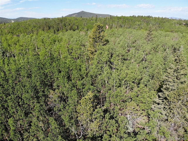 Castle Ridge View, Divide, CO 80813 - photo 14