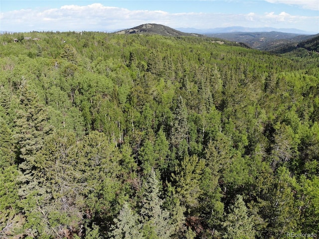 Castle Ridge View, Divide, CO 80813 - photo 15