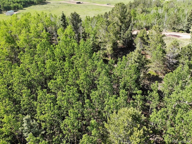 Castle Ridge View, Divide, CO 80813 - photo 18