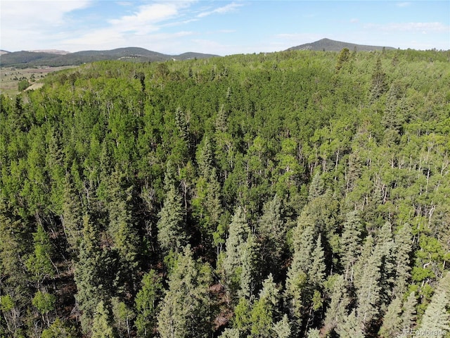 Castle Ridge View, Divide, CO 80813 - photo 23
