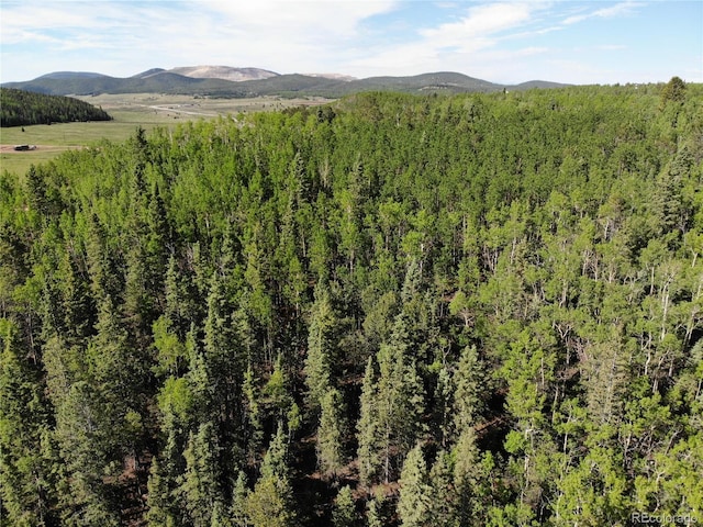 Castle Ridge View, Divide, CO 80813 - photo 24