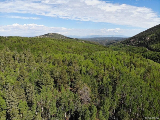Castle Ridge View, Divide, CO 80813 - photo 26