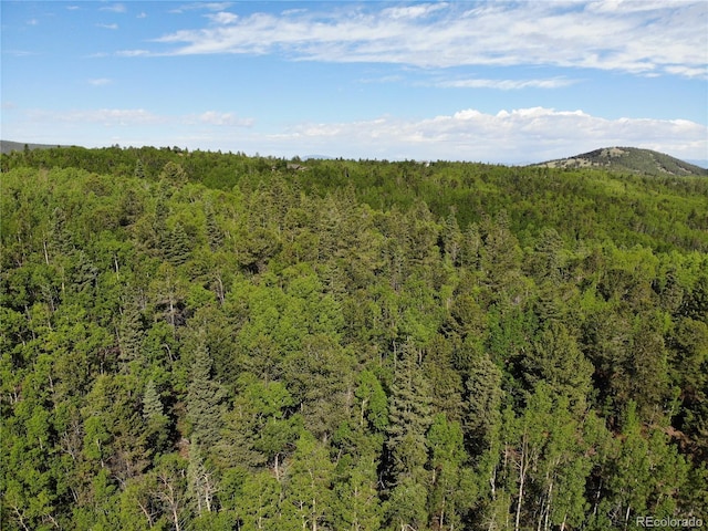 Castle Ridge View, Divide, CO 80813 - photo 27