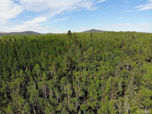 Castle Ridge View, Divide, CO 80813 - photo 28