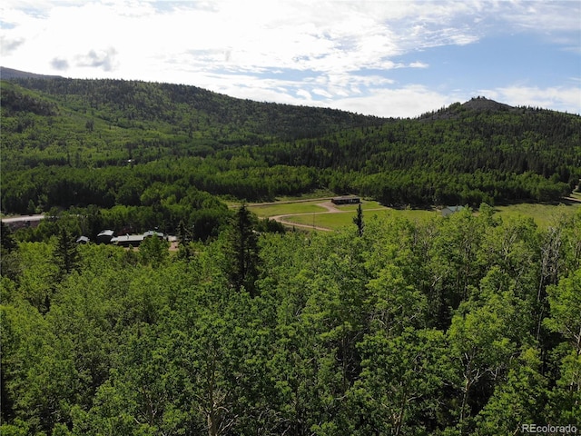 Castle Ridge View, Divide, CO 80813 - photo 31