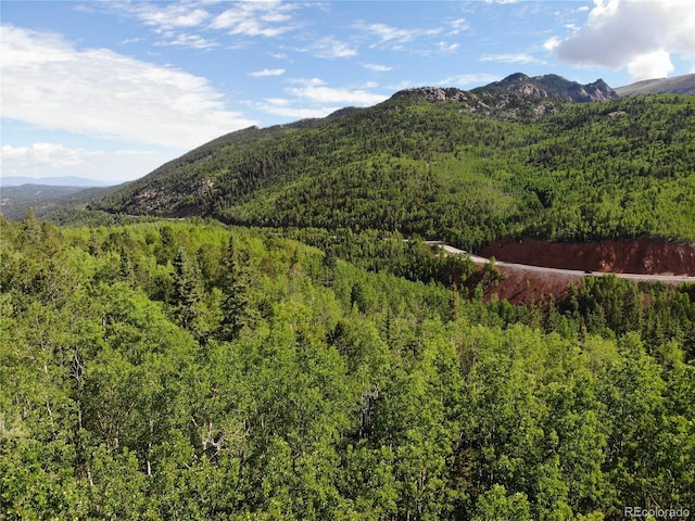 Castle Ridge View, Divide, CO 80813 - photo 34