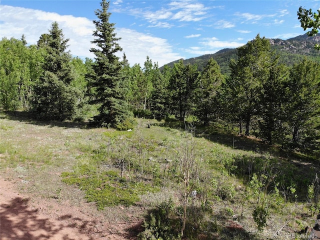 Castle Ridge View, Divide, CO 80813 - photo 38