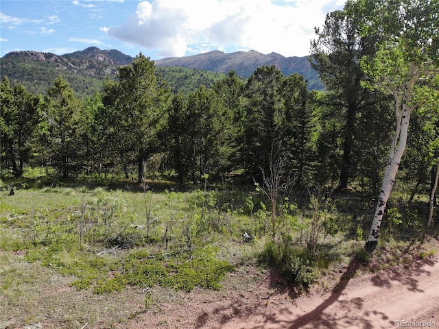 Castle Ridge View, Divide, CO 80813 - photo 39