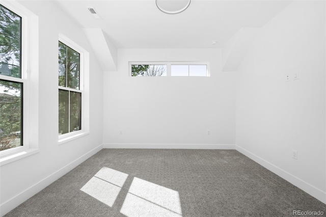 empty room featuring plenty of natural light and carpet