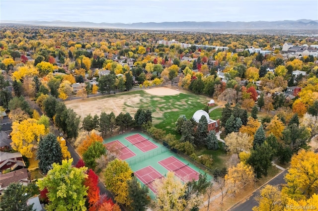 birds eye view of property featuring a mountain view