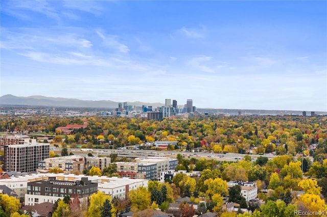 view of city featuring a mountain view