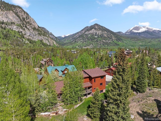 403 Pitkin St, Frisco, CO 80443 - view of mountain background
