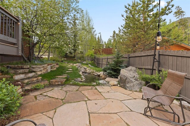 403 Pitkin St, Frisco, CO 80443 - view of patio
