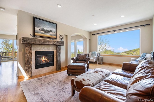 living room featuring a fireplace and light wood-type flooring