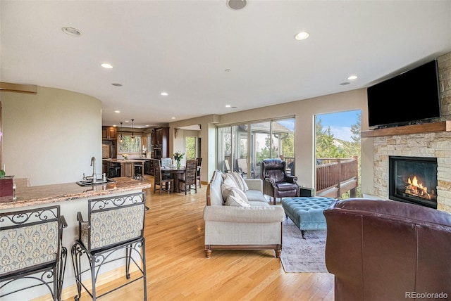 living room featuring a fireplace and light wood-type flooring