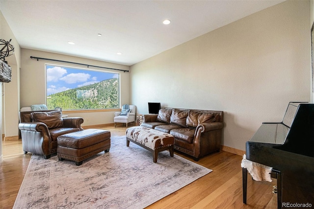 living room with light wood-type flooring