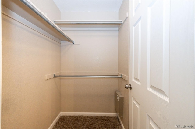 spacious closet featuring carpet