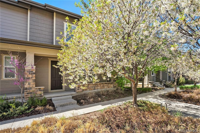 3332 Valentia St, Denver, CO 80238 - view of front of house