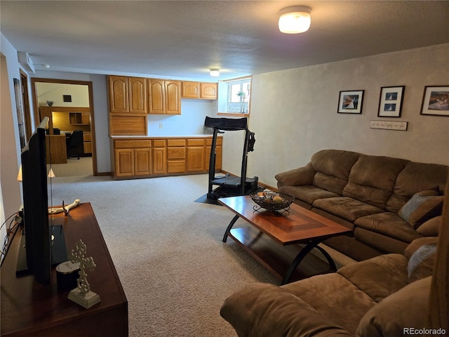 148 15th St, Burlington, CO 80807 - living room with carpet flooring