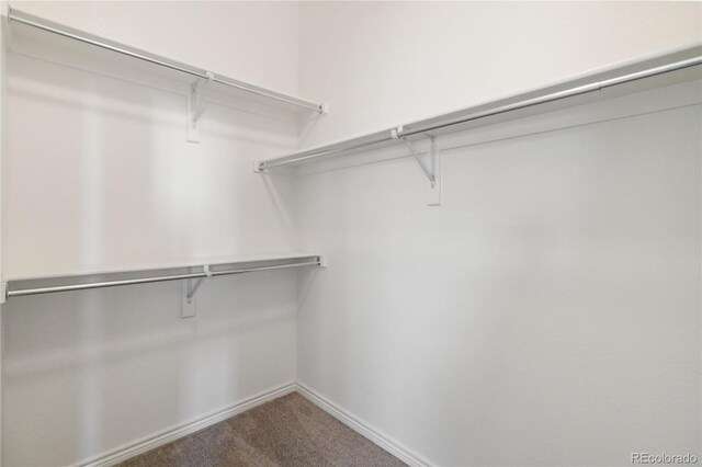 5895 S Taft Ct Unit H, Littleton, CO 80127 - spacious closet with carpet flooring